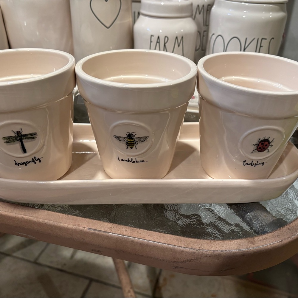 Insect Motif Cream Ceramic Planter Set